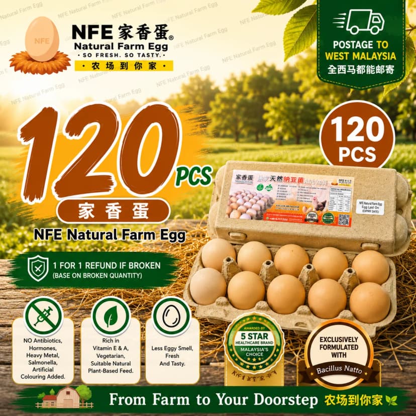 NFE 120pcs