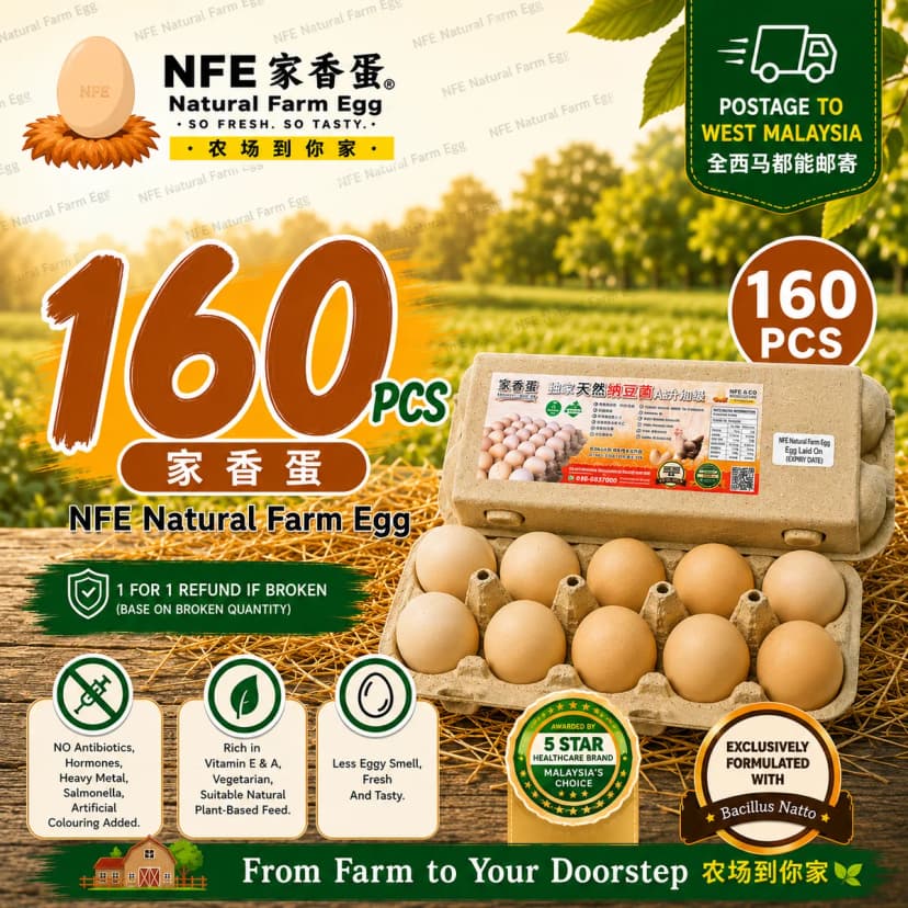 NFE 160pcs